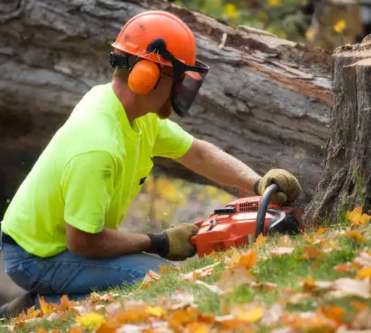 tree services Argyle